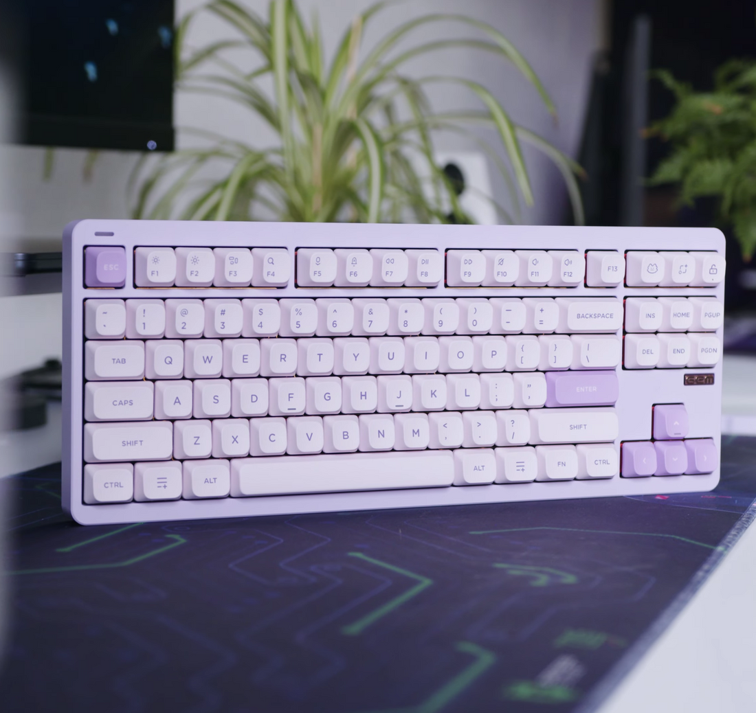 Gem80 TKL custom mechanical keyboard