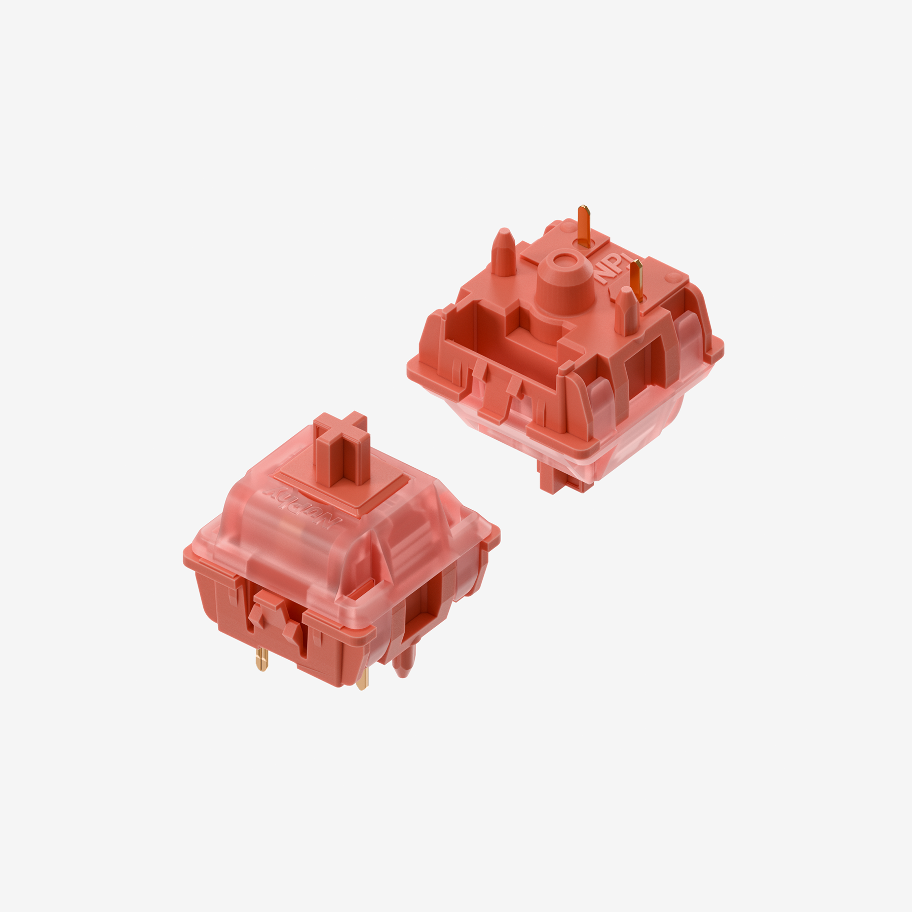 NuPhy Raspberry Switches