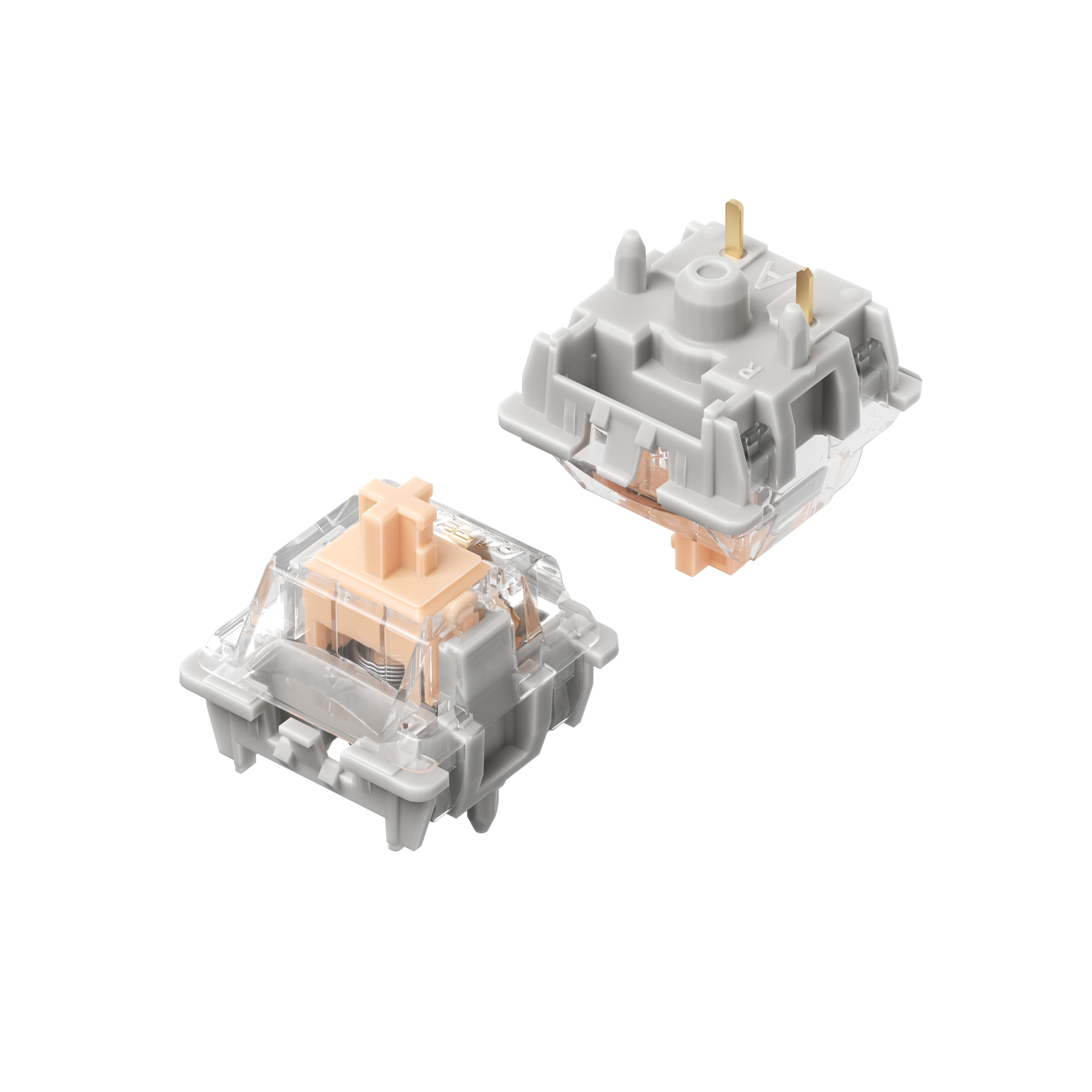 NuPhy Max Switches