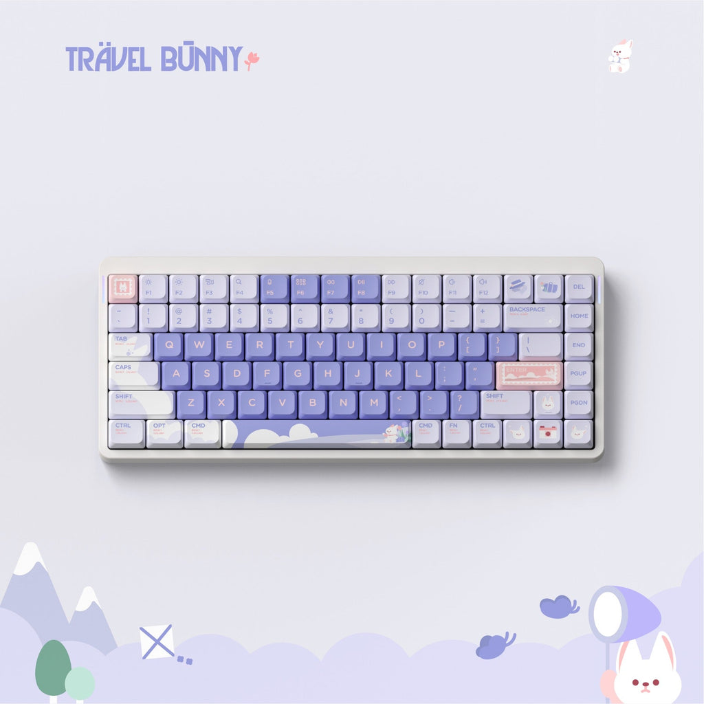 Travel Bunny