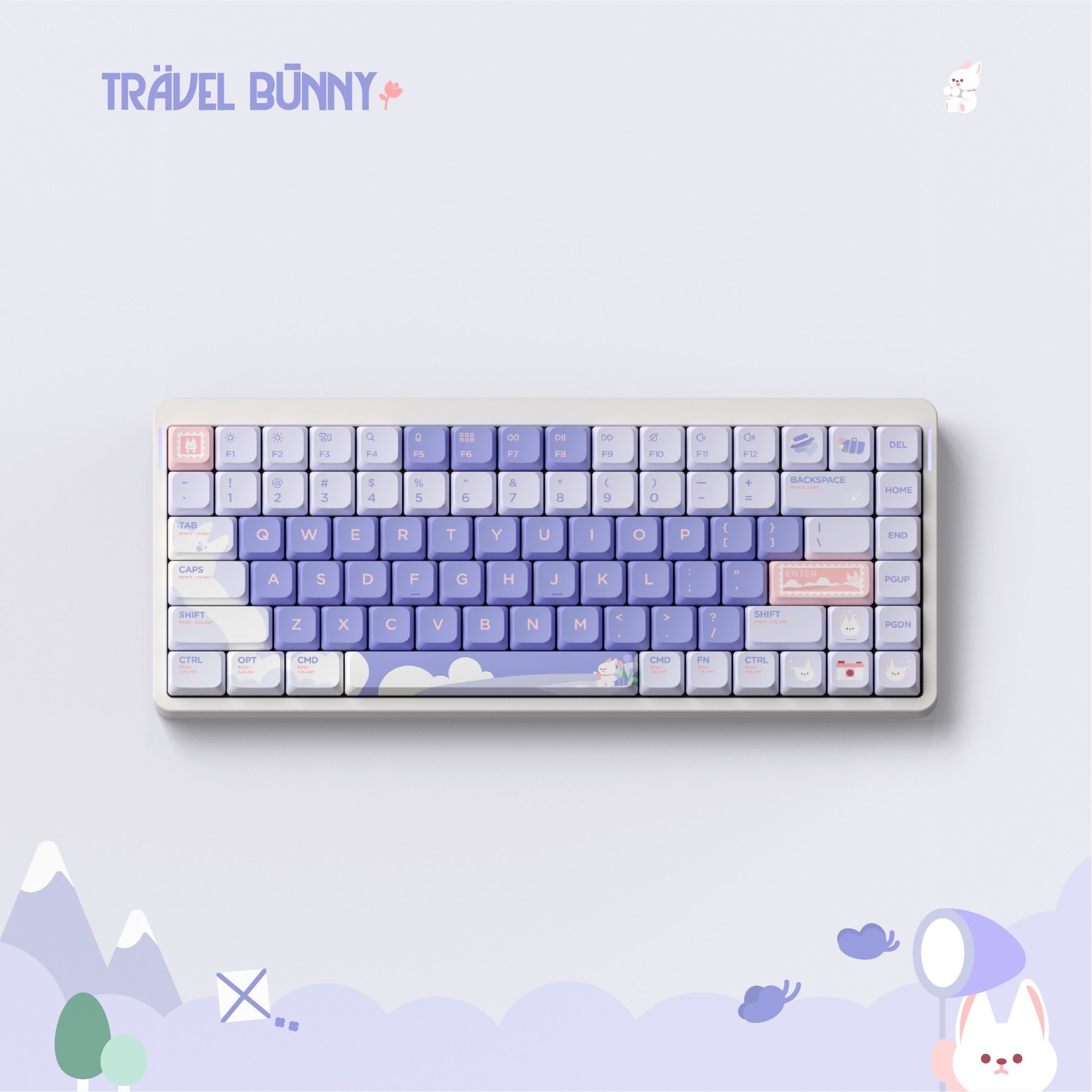 Travel Bunny